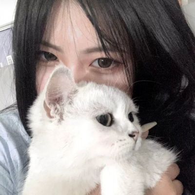 鬼舞三国志变态版下载